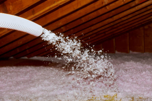 Best Insulation Installation Services in Hauser, ID